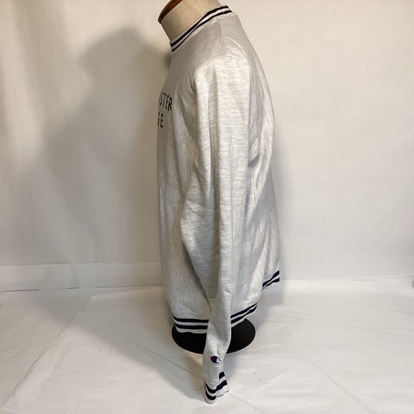 Champion Westminster College Titans Men’s Sweatshirt size small - Picture 5 of 8